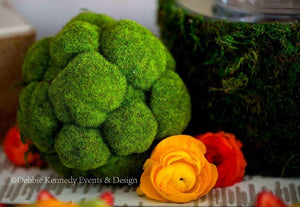 Bumpy Moss Balls 5in
