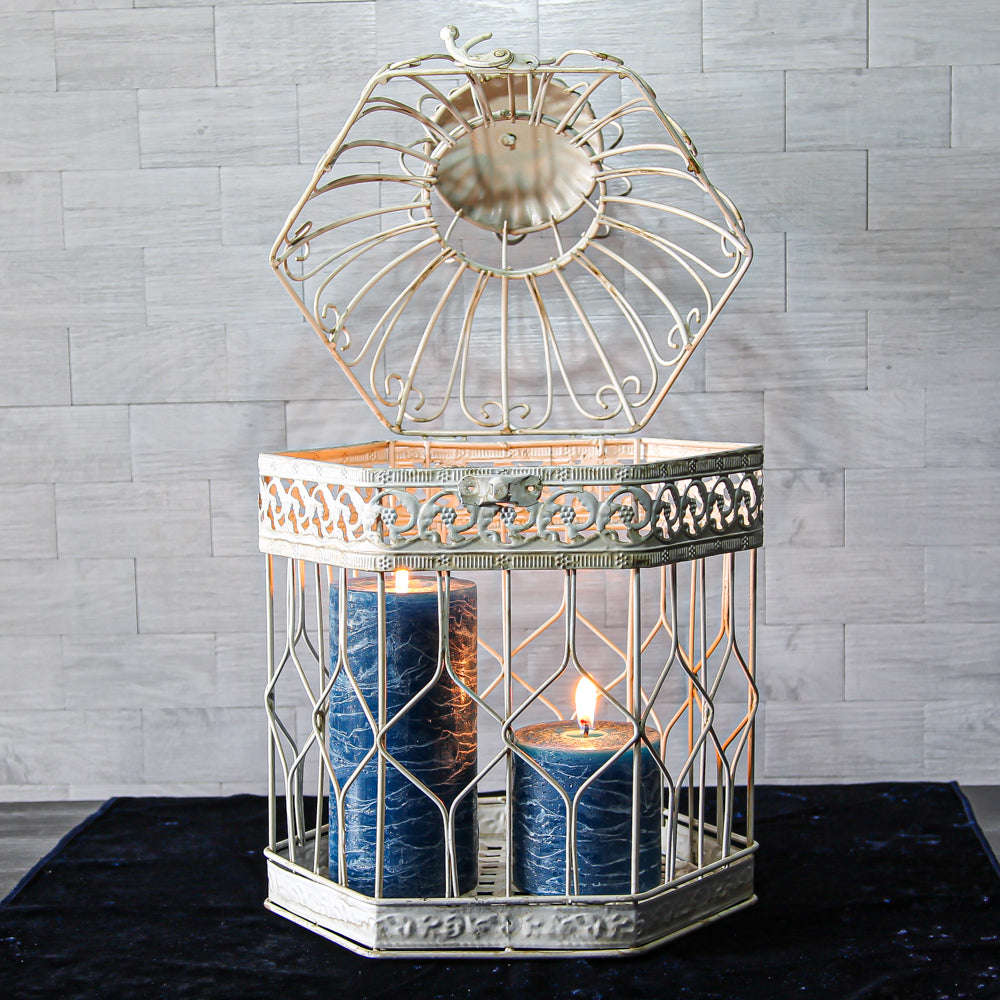 Birds &amp; Bird Cages