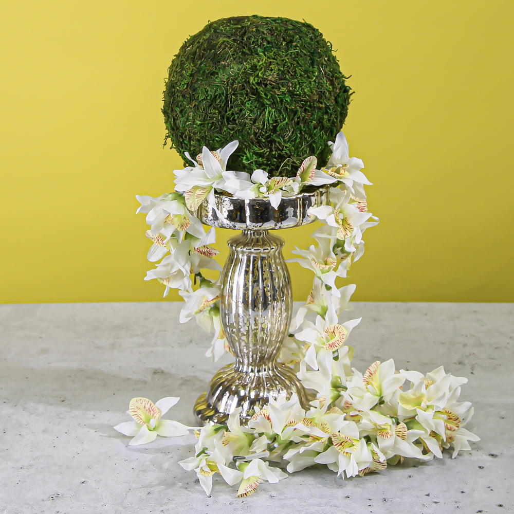 Moss Ball Natural 6"