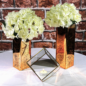 Hira Glass & Brass Terrarium Angled Cube 4.7"