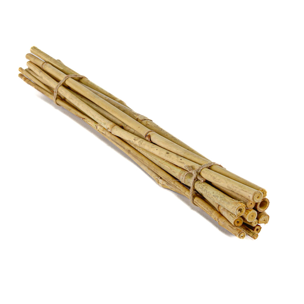 Bamboo Poles 24in Natural (bundle of 12)