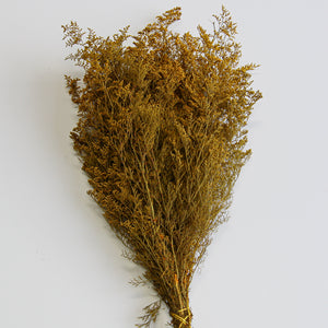 Preserved Dyed Caspia 8oz Gold Orange