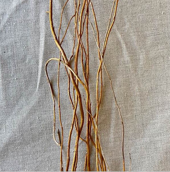 Curly Willow Tree Branch Bundle, 3-4 Feet