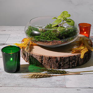 Eastland Votive Holder Green Set of 12