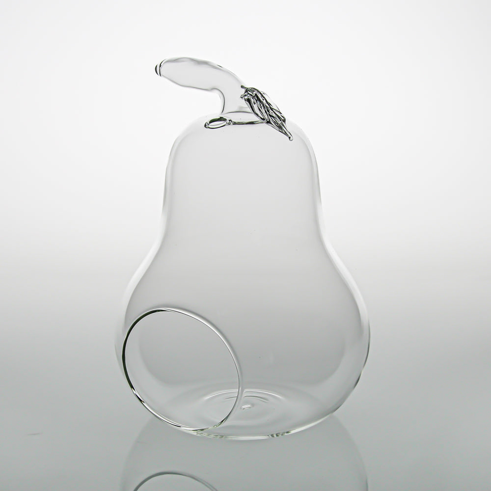 Richland Pear Terrarium