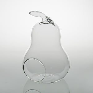 Richland Pear Terrarium