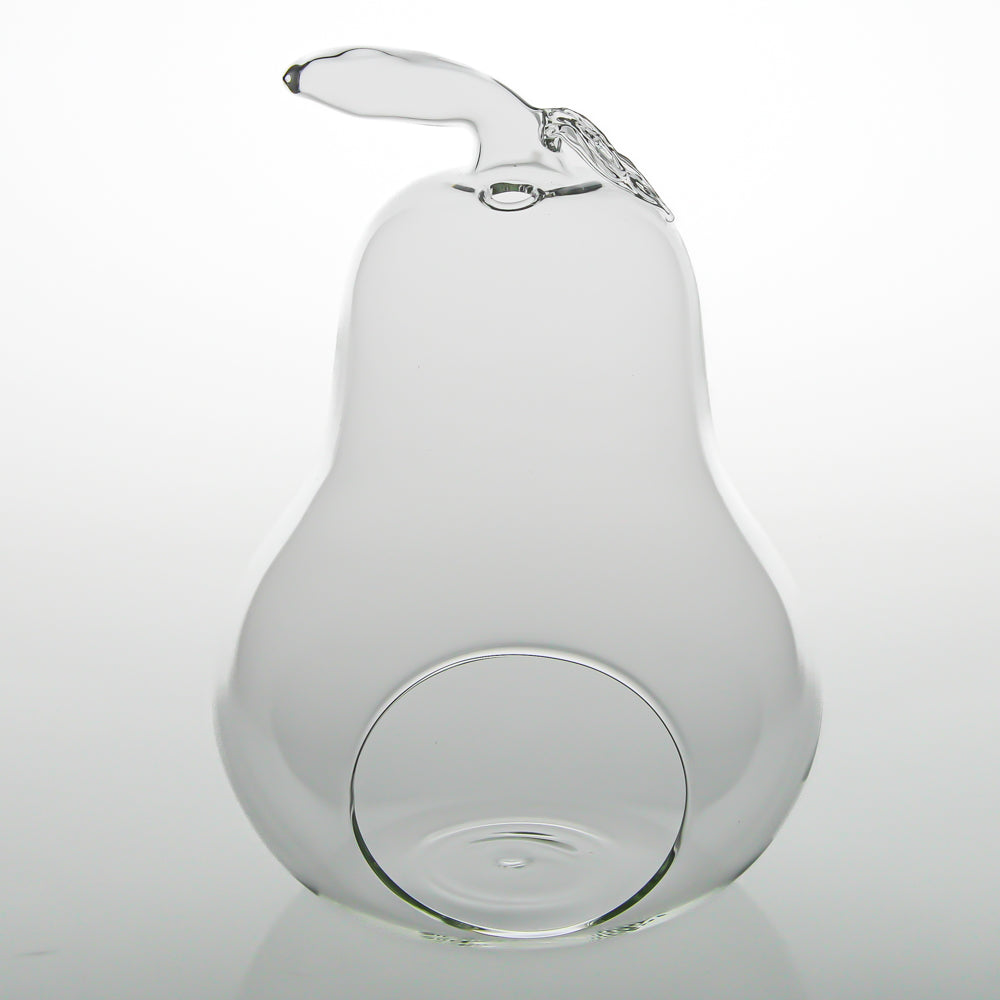 Richland Pear Terrarium