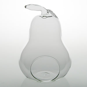Richland Pear Terrarium