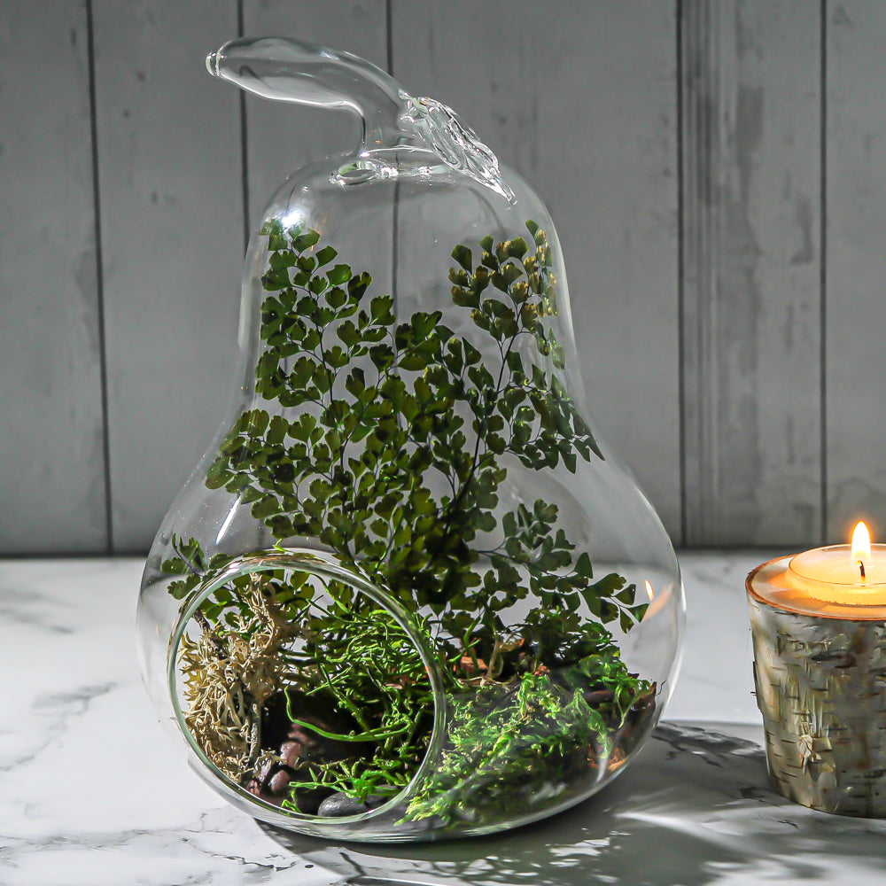 Richland Pear Terrarium