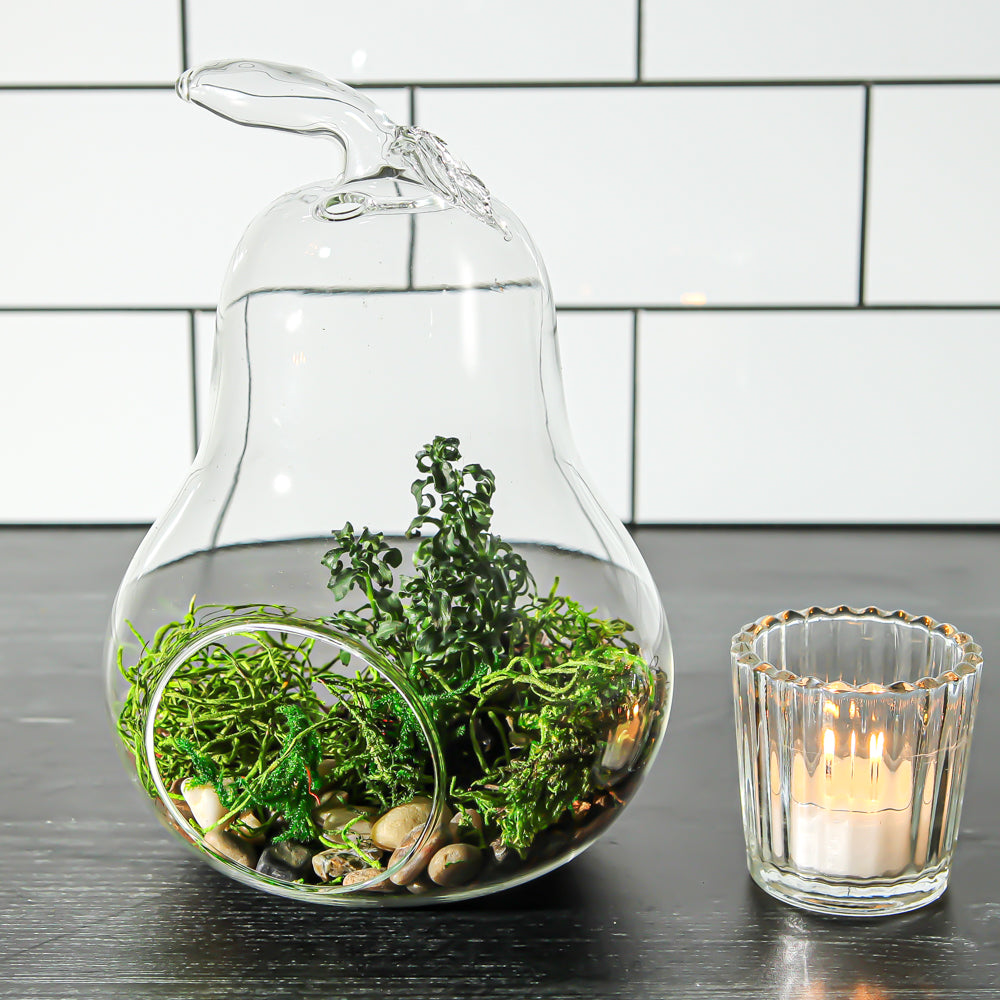 Richland Pear Terrarium