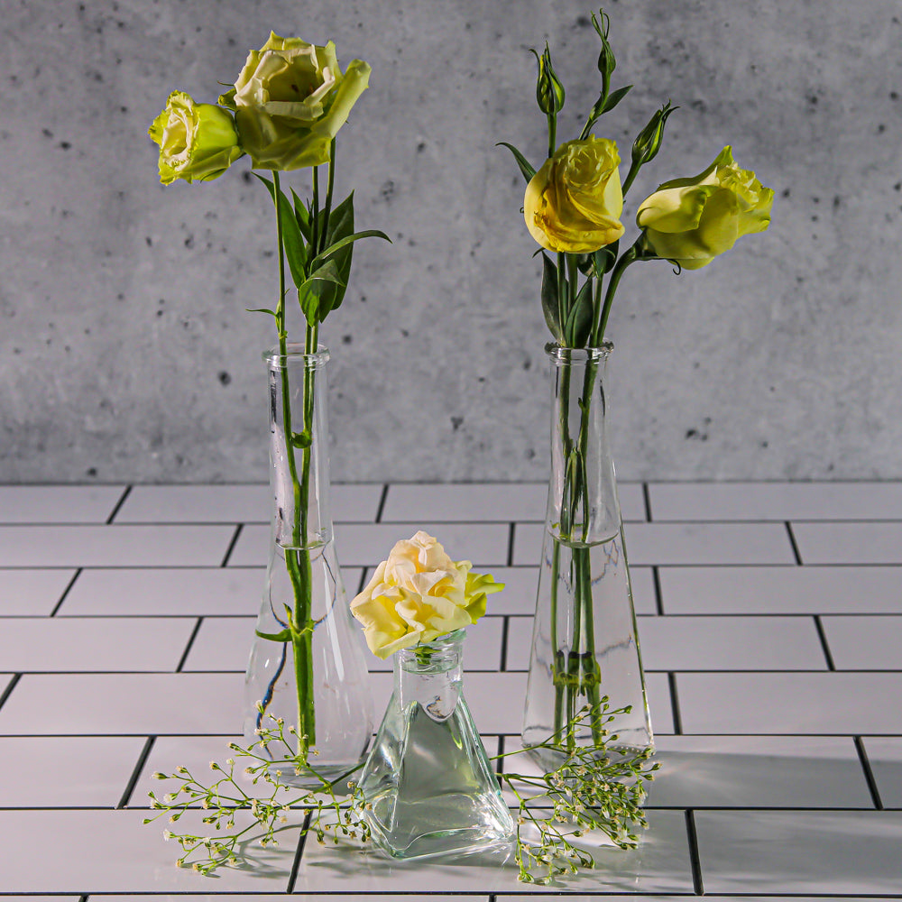 Richland Tempe Bud Vase Set of 12