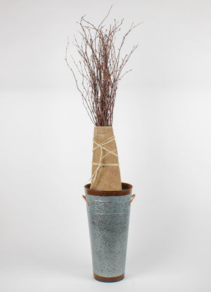 Natural Birch Tree Branches 3-4ft (25 branches)