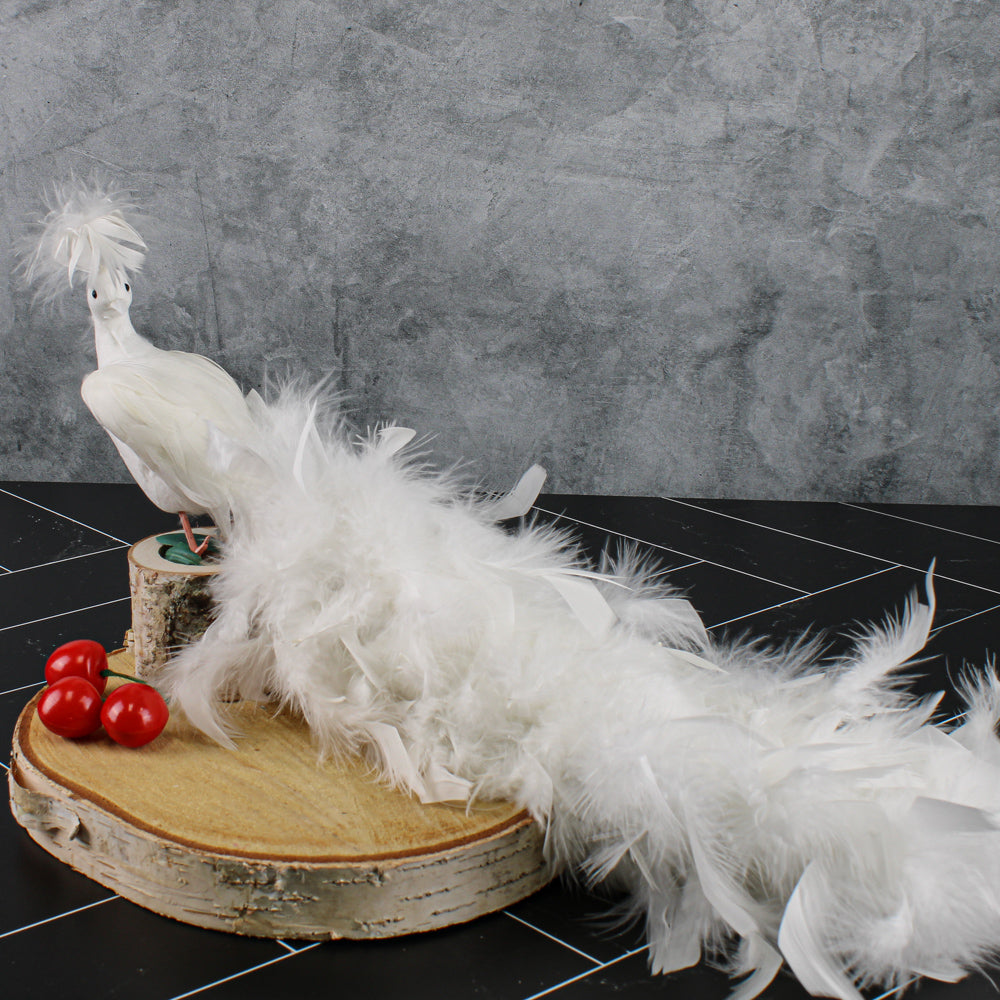White Feathered Peacocks 17in
