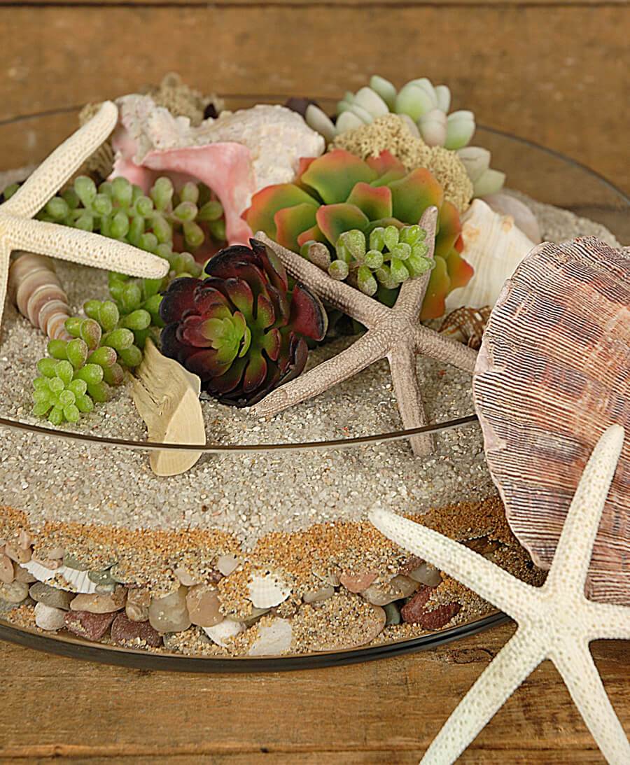 clear glass terrarium dish 3in x 12in