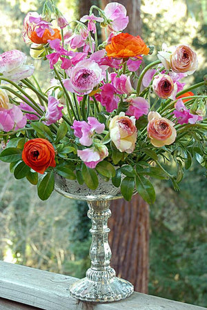 Silver Desiray Compote Vase 8 "x 9.5"