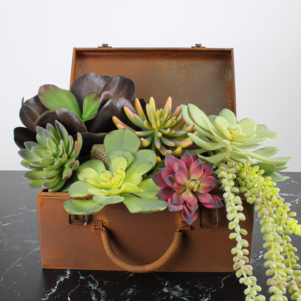 Large Kalanchoe Succulent Green and Burgundy Natural Touch 10"