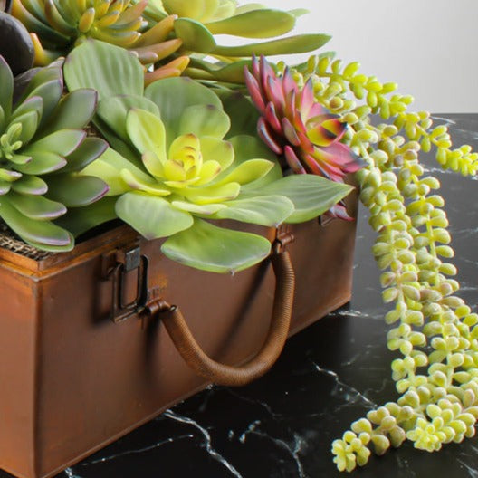 Sedum Bush Pick Green 19"