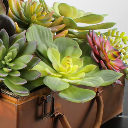 Real Touch Echeveria Succulent Pick 6in Green