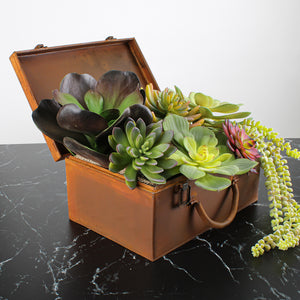 Large Kalanchoe Succulent Green and Burgundy Natural Touch 10"