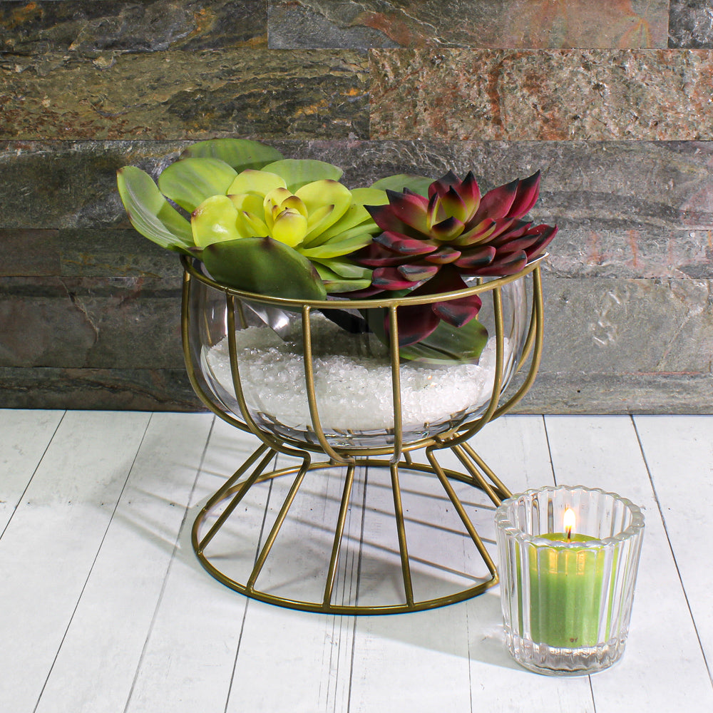 Pick Echeveria 6in Green
