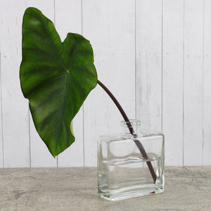 Clear Glass Matic 8.5 ounce Bottles Set of 12