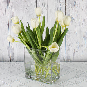 Thick Glass Rectangle Vases  7.5 x 8