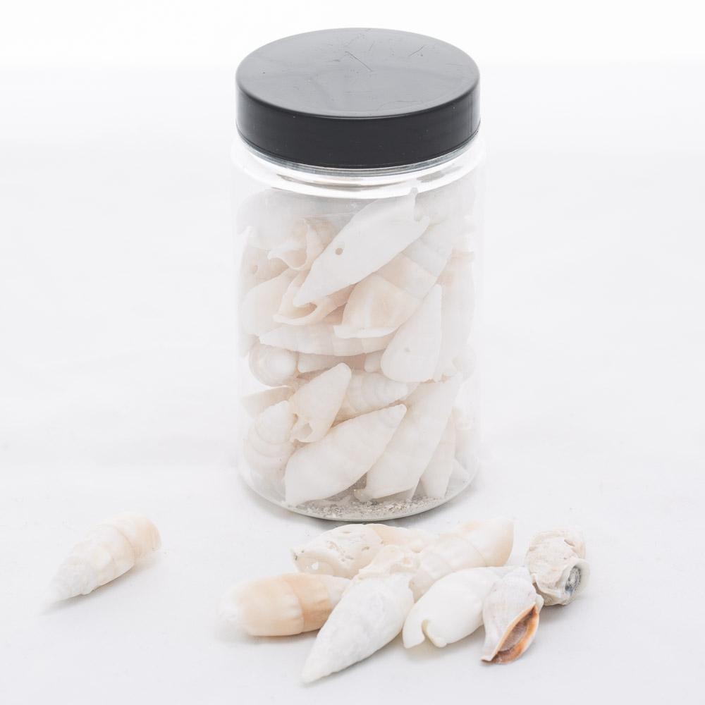 richland conch vase filler set of 12