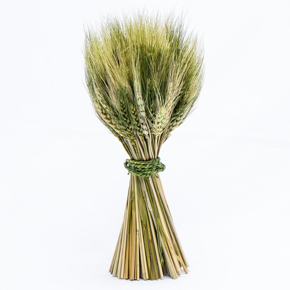 richland preserved stand up wheat bundle