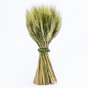 richland preserved stand up wheat bundle set of 16