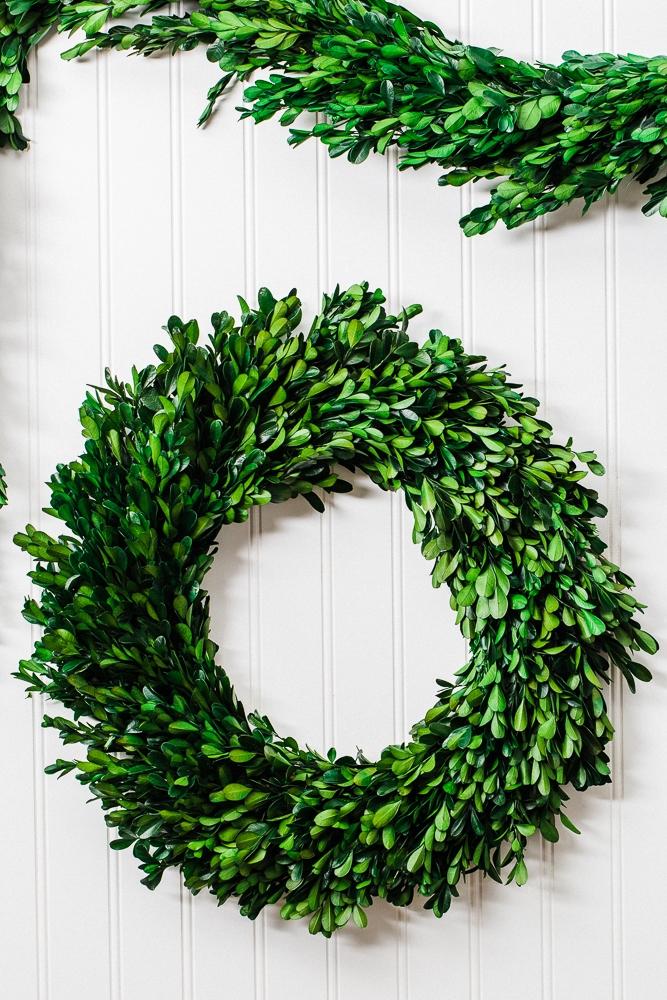 richland preserved boxwood wreath 17 set of 6