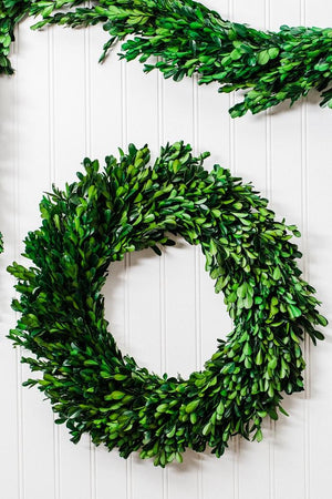 Richland Preserved Boxwood Wreath 17”