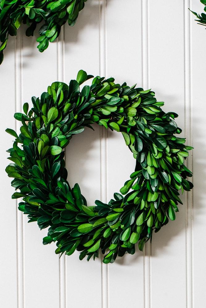 richland preserved boxwood wreath 8