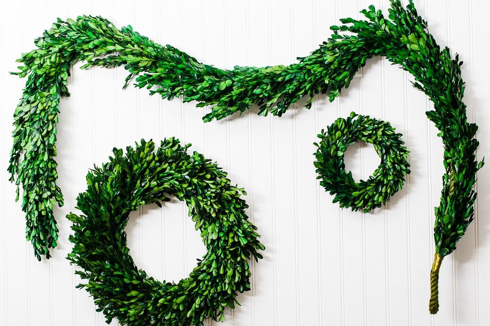 Richland Preserved Boxwood Garland 70"