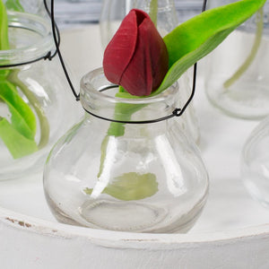 Richland Vintage Jar Hanging Glass Vase Set of 12