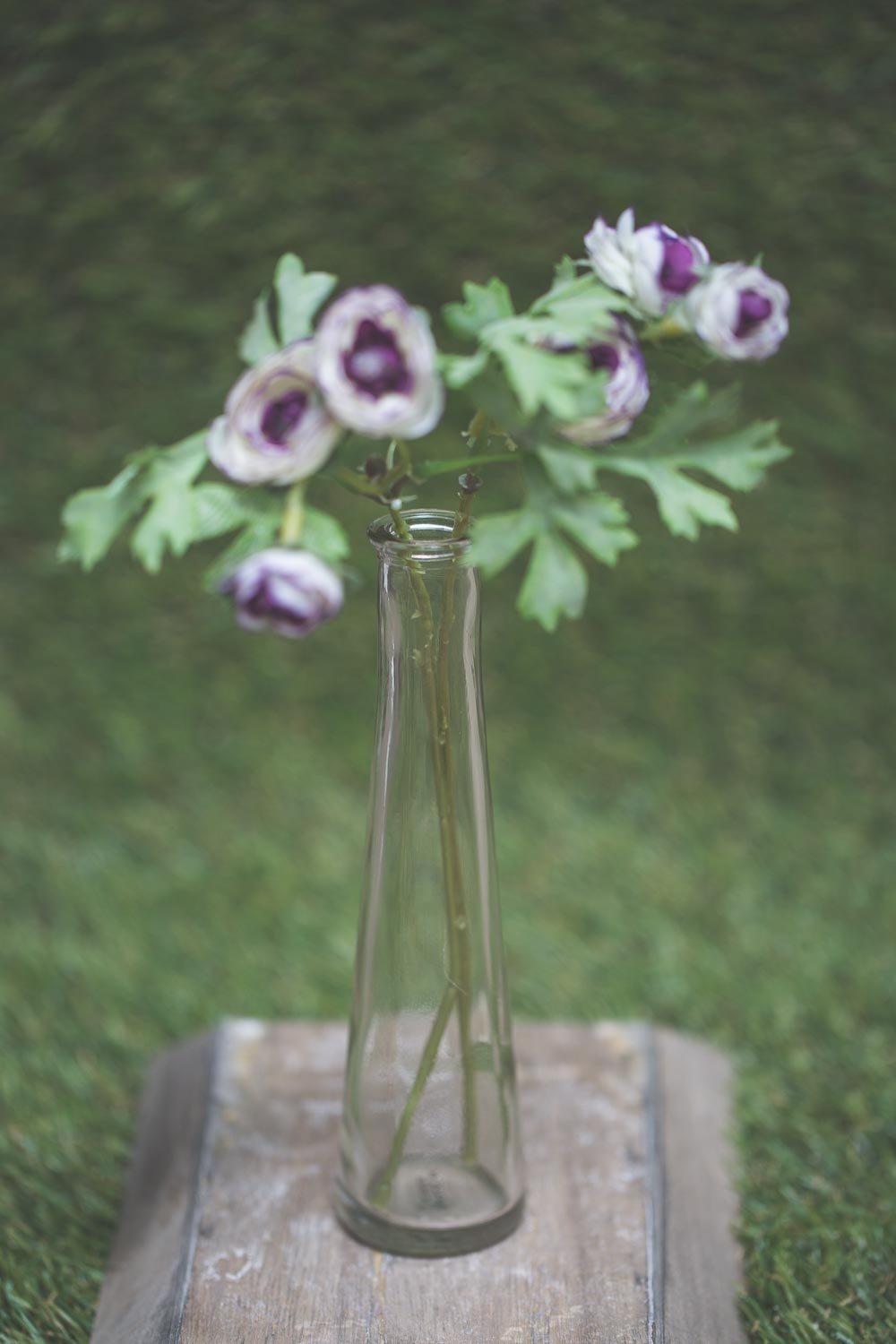 richland tapered bud vase clear 7 set of 12