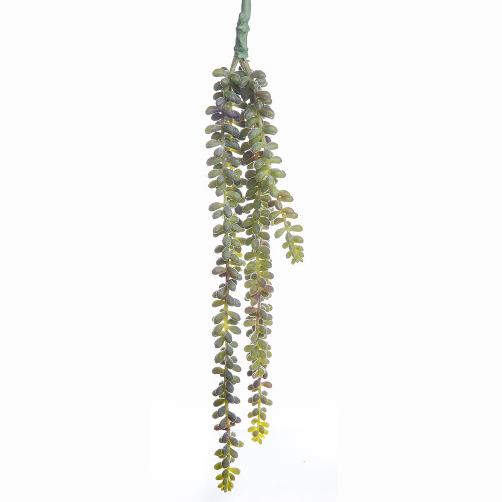 Sedum Bush Pick Green 20"