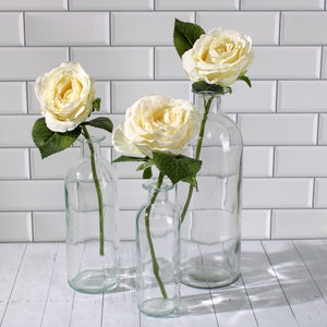 Richland Apothecary Glass Bottle 6" Set of 12