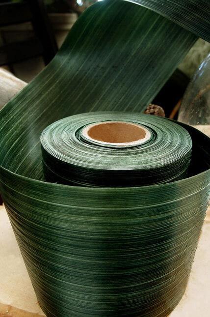 variegated aspidistra ti leaf floral ribbon 4in x 50 yards
