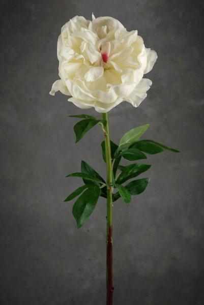 natural touch large cream white peony flowers