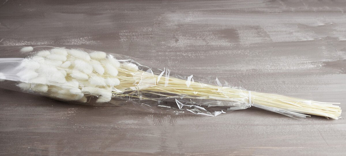 Italian Bunny Tails Bleached, Ornamental Grass Bundle