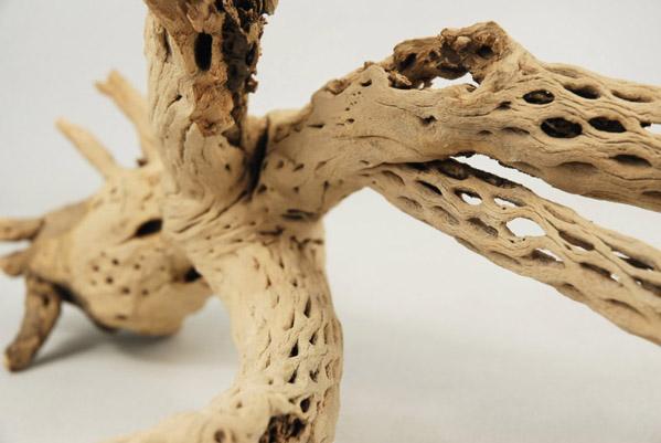 cholla wood branch 12in