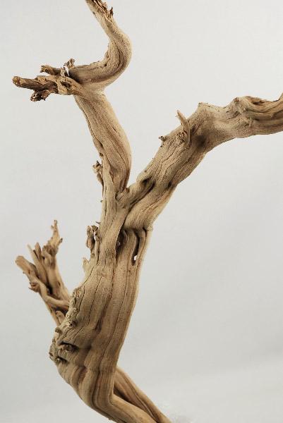 Natural Ghostwood Branches Sandblasted 10-14 in (California Driftwood)