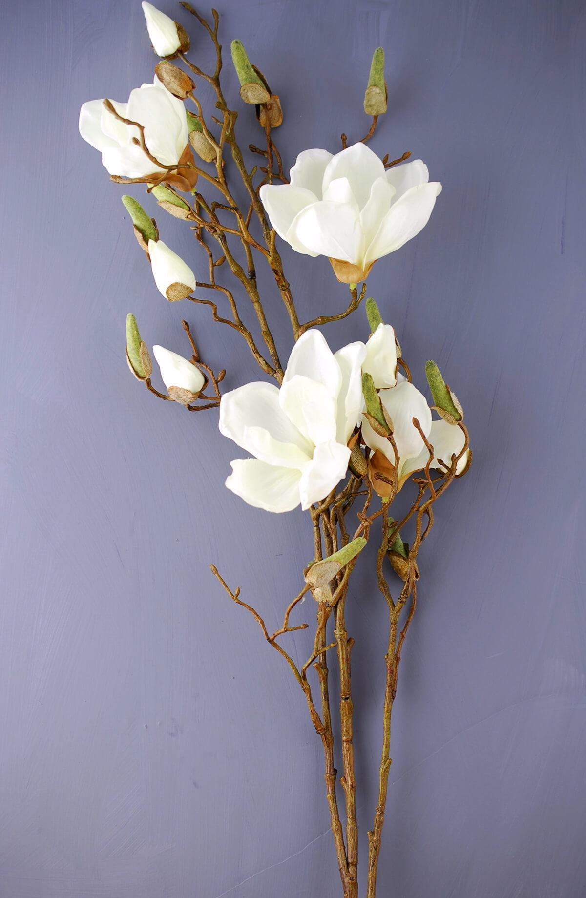 Magnolia Spray Cream 40in