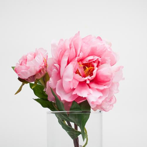 Richland Pink Peony 22"