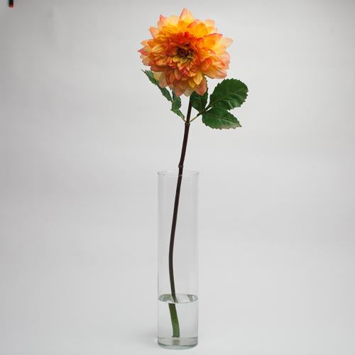 richland orange dahlia 34