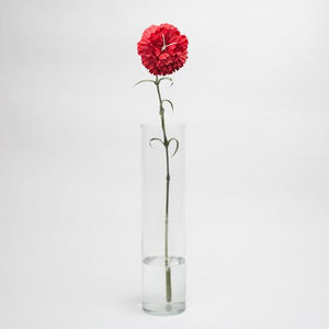 richland red carnation 27