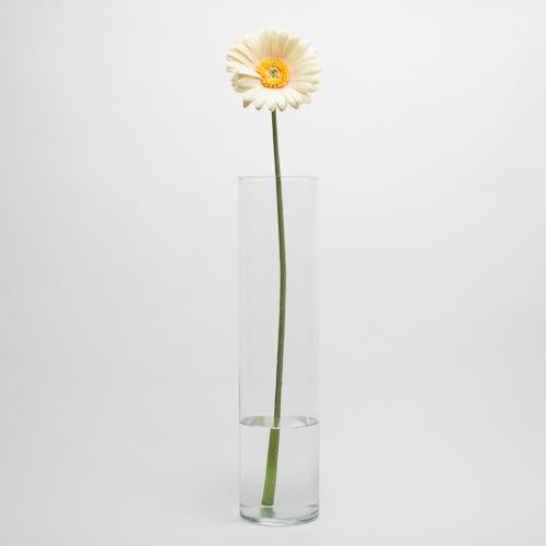 richland yellow gerbera daisy 24