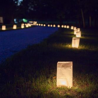 eastland white luminary bags only set of 500