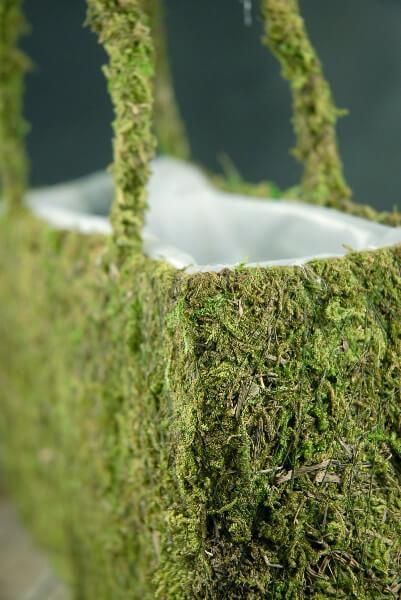 natural preserved moss 12in purse with liner