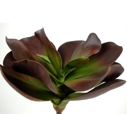 Kalanchoe Green and Burgundy Succulent 12in Natural Touch